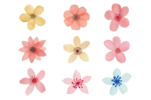 The Charm and Flexibility of Hand-drawn Watercolor Florals