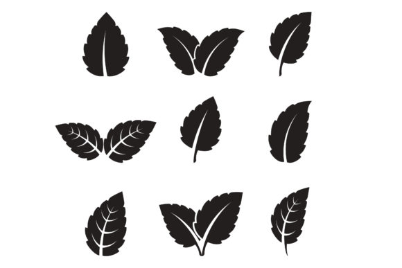 The Mint Leaves Flat Vector Logo: A Symbol of Modern Freshness